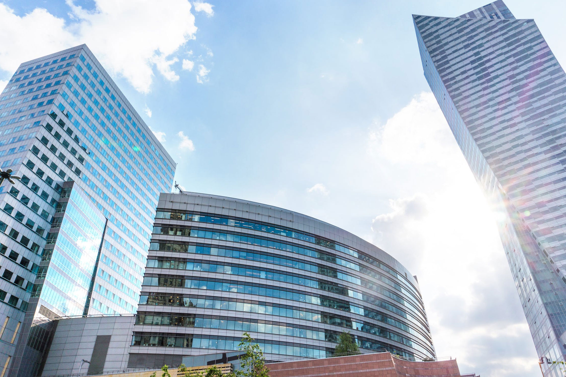 commercial-pest-control-canberra